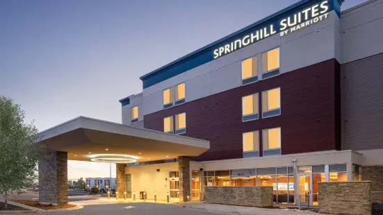 丹佛帕克萬豪SpringHill Suites飯店