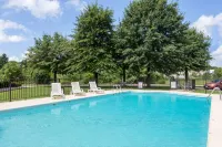 Super 8 by Wyndham Harrison AR - Family