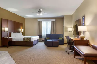 Comfort Inn & Suites Amarillo East ビルズ・バックヤード・クラシックス周辺のホテル