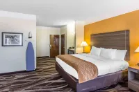 컴포트 인 샌안토니오 키르비 호텔