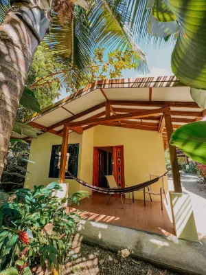 Tropical Beach Hotels near Costa Verde Surf shop
