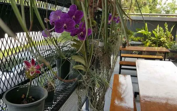 รูปภาพของริคโค่เรสซิเดนท์