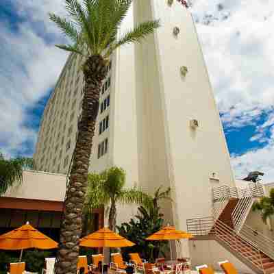 Hilton St. Petersburg Bayfront Hotel Exterior