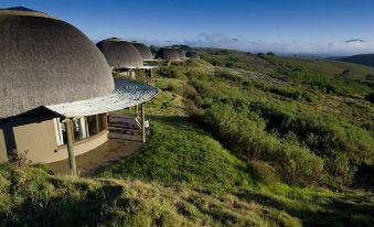 Gondwana Game Reserve