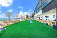 Youngheungdo Glamdog Pet Friendly