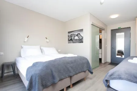 Arnarstapi Hotel Отели в г. Snaefellsbaer