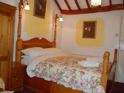 Britannia Inn Hotels near Llantysilio Mountain
