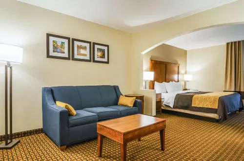 Comfort Inn & Suites Oxford South Hotels in Henderson