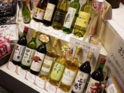 Ryokan Tanakaya Minobu otelleri