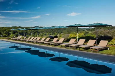 Loisium Wine & Spa Resort Sudsteiermark Hotels near Die groesste Traube der Welt am Eory-Kogel