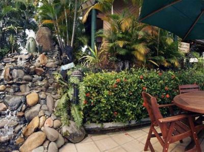 庭 タノア インターナショナル ホテルの写真