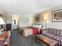 Econo Lodge Hotels in Ranger