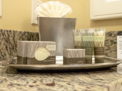 Deluxe King Suite with Sofa Bed Watkins Glen Harbor Hotel Photo