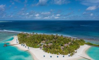 a tropical island with clear blue water , sandy beaches , and lush greenery , under a sunny sky at Naladhu Private Island