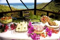 Spring Hotel Bequia Hotels in Port Elizabeth