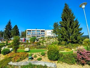 Hotel Star Lipno