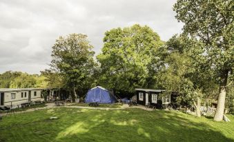 a blue tent is set up in a grassy area with trees and a house nearby at Paradiset