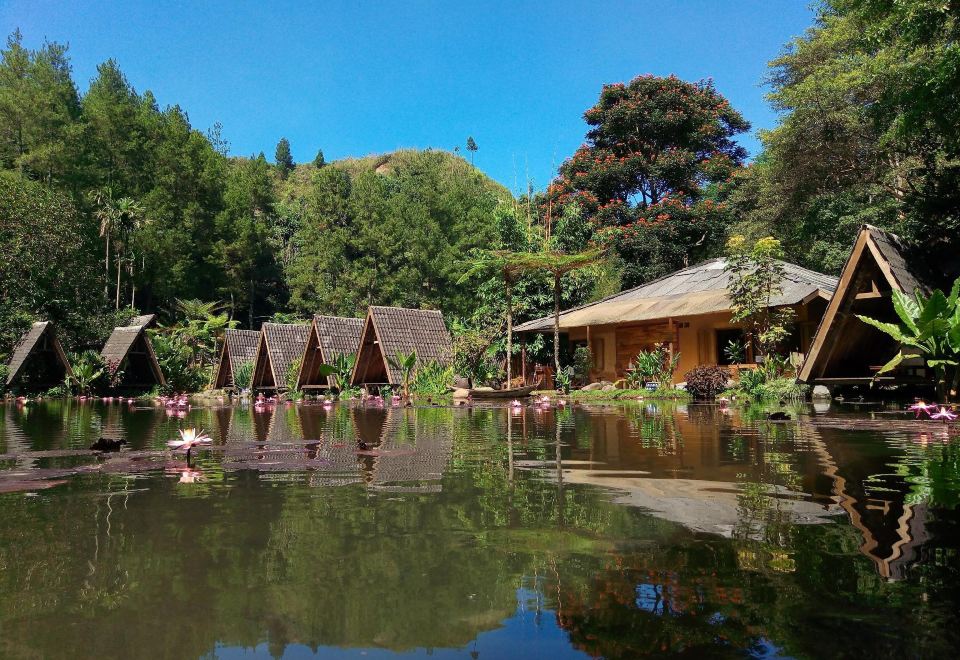 a group of small wooden huts situated next to a lake , surrounded by lush greenery at Imah Seniman