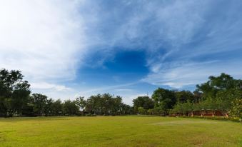 a grassy field with a few trees and a few bushes , under a blue sky with clouds at Suanpa Resort
