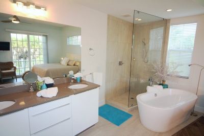 Other Ponce de Leon Photo