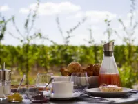 Domaine de la Soucherie - Chambres d'hôtes Hotels in Chavagnes