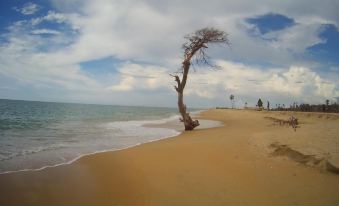 Kite Paradise Resort-Kalpitiya