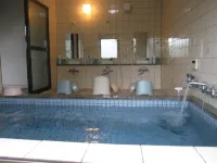 Business Ryokan Soja Hotels in Soja