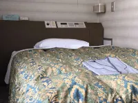 Royal City Hotel Hotels in Ube