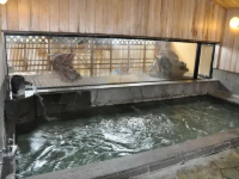 Okumusashi Ryokan Hotel di Hanno