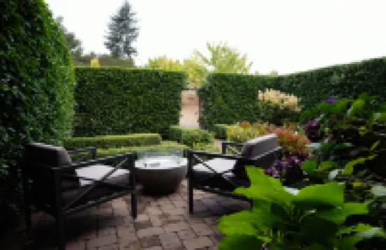 Black Walnut Inn & Vineyard Hotels in 