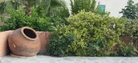Antonis G Hotel Apartments Ξενοδοχείο Hotel a 