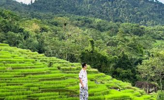 Central Hills Puluong Resort