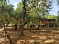 Eighth Wonder Resort