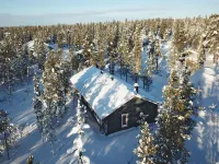 Tunturituuli a