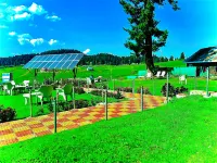 Pine View Resort Hotels in Gulmarg