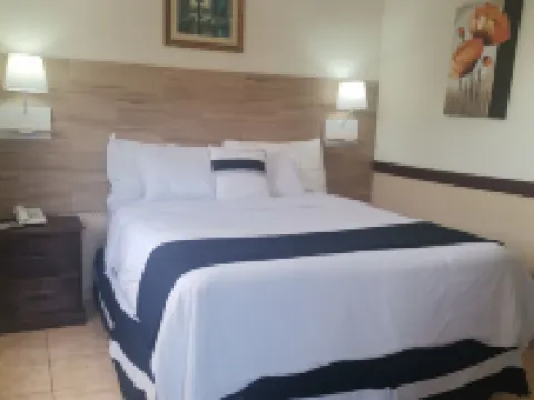 聖薩爾瓦多阿利坎特飯店 安蒂果庫斯卡特蘭住宿飯店