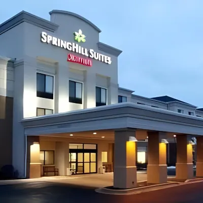 大激流城北萬豪SpringHill酒店 鄰近灰線釀酒公司的酒店