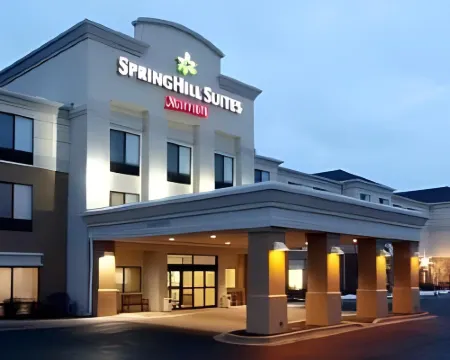 SpringHill Suites Grand Rapids North Hotels in Walker