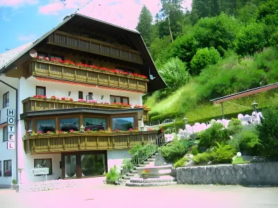 Hotel Silberfelsen Отели рядом с достопримечательностью «Blasiusbrunnen»