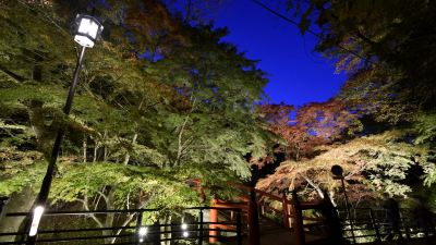 ホテル周辺 伊香保温泉　和心の宿 大森の写真