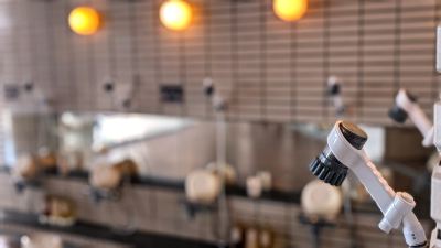 スパ・大浴場 胡蝶蘭の写真