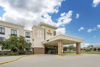 Comfort Suites East Lincoln - Mall Area - sarapan