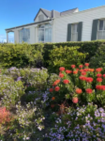 Awesome room in surf house Hotels in 