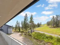 Talvitähti C 37