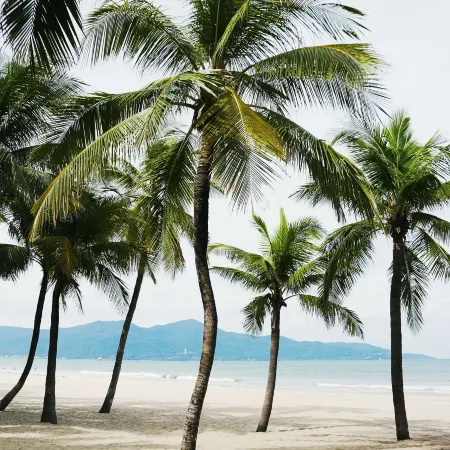Radisson RED Danang