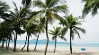 Radisson RED Danang - Romantic