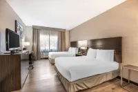 Best Western Plus North Las Vegas Inn  Suites - Jacuzzi