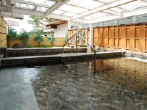 Ikenotaira Shirakaba Kogen Hotel