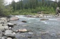 Glacier Springs Cabin #27 - A Private 2-Story Pet-Friendly Cabin!