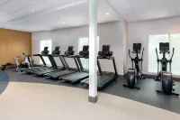 Hilton Garden Inn Panama City Airport - Gym